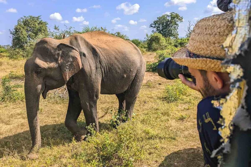 How To Plan A Safari In Udawalawe National Park Sri Lanka