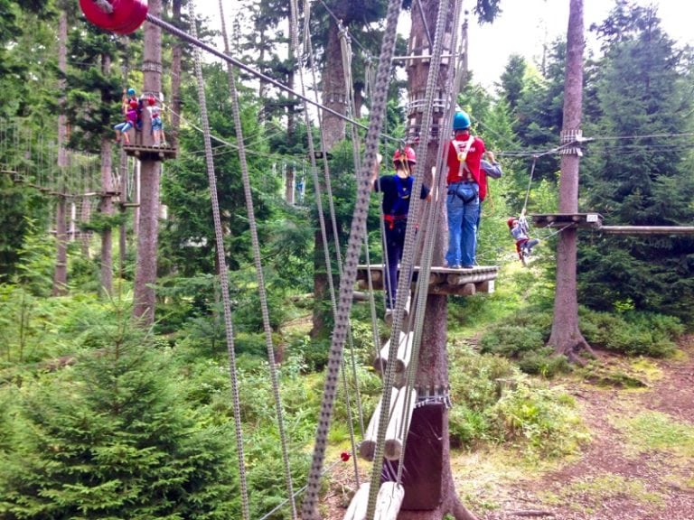 Germany’s Black Forest And Beyond: A Surprising Summer Holiday