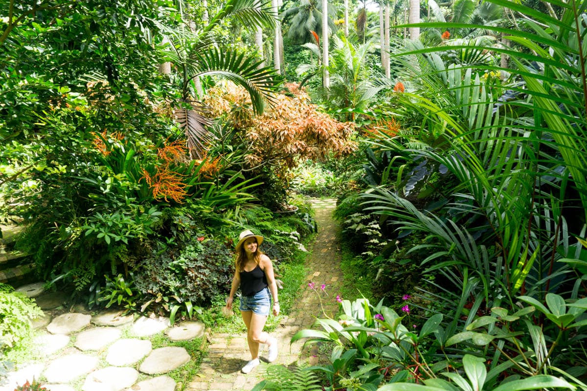 Exploring Hunte's Gardens, Barbados