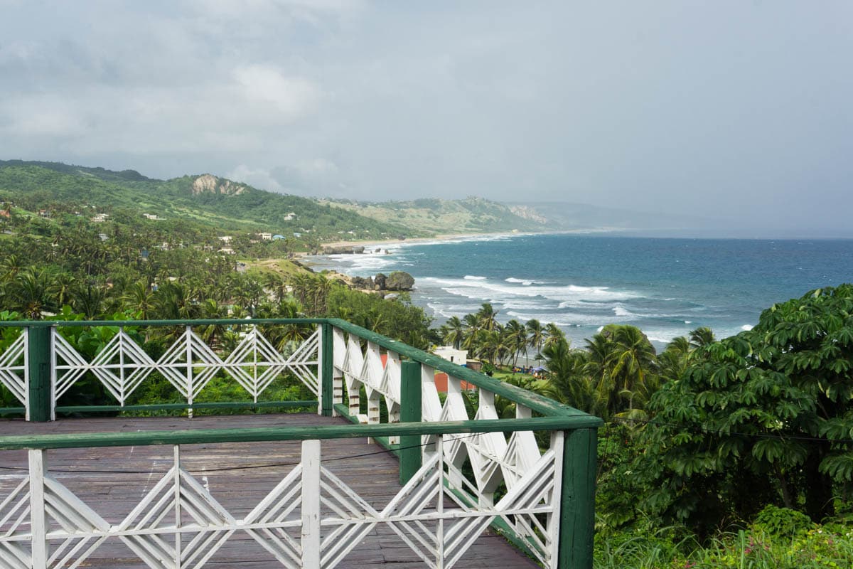 Taking in the views of East Barbados on our island safari