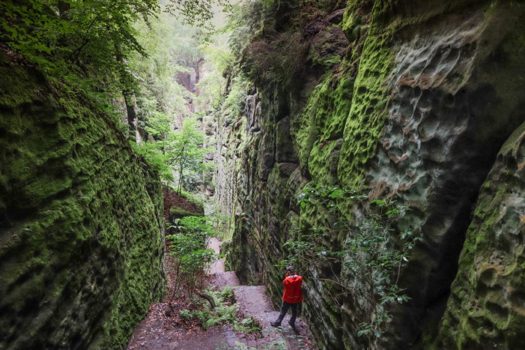 Exploring The Bastei Bridge And Saxon Switzerland, Germany: 2024 Guide