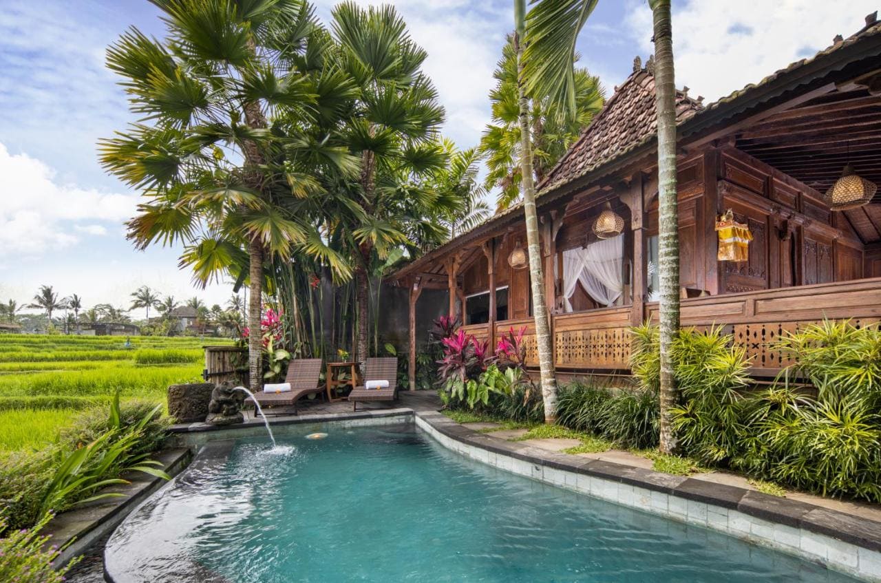 Ubud Hotels - Where To Stay In Ubud: 2024 Guide