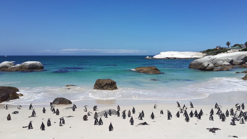 best-holiday-destinations-in-south-africa-2023-guide