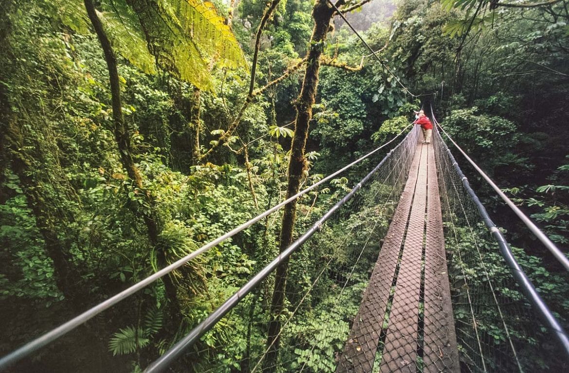 19+ Best Things To Do In Costa Rica 2024 Guide, Tours + Tips