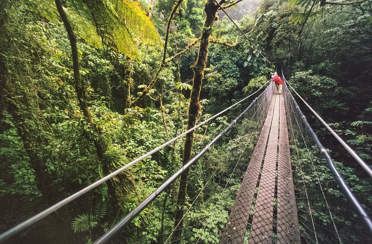 Skybridge in Monteverde Cloud Forest