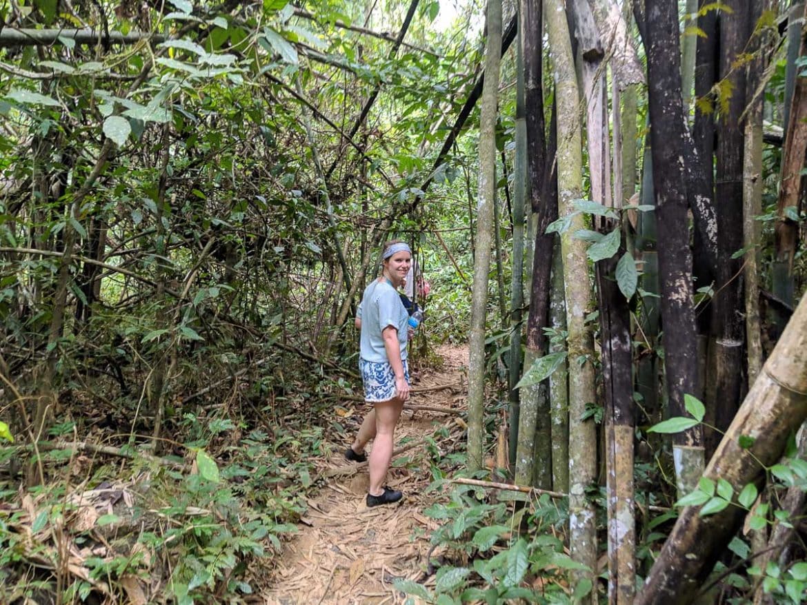 Everything You Need To Know About Visiting Khao Sok National Park: 2024 ...