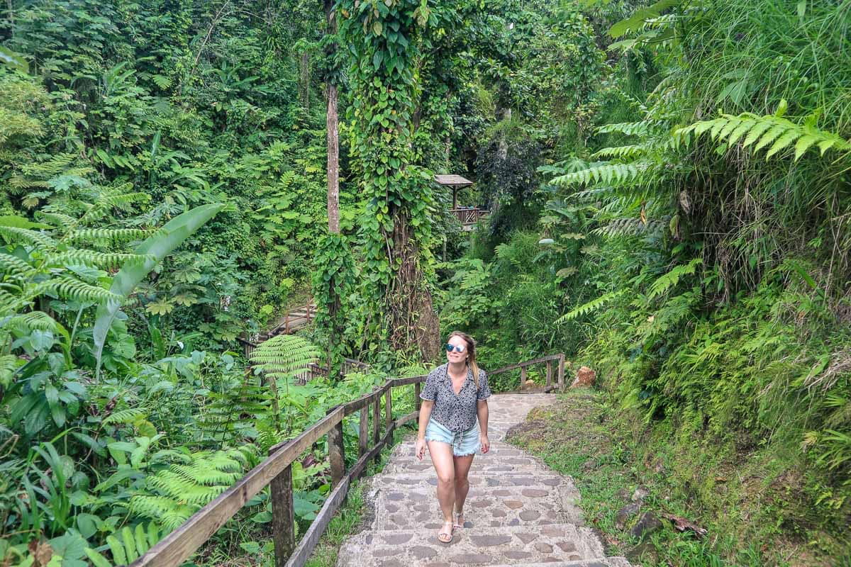 Trekking to the Emerald Pool, Dominica