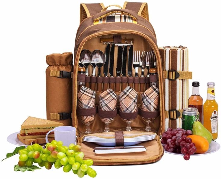 The 5 Best Picnic Backpacks of 2023
