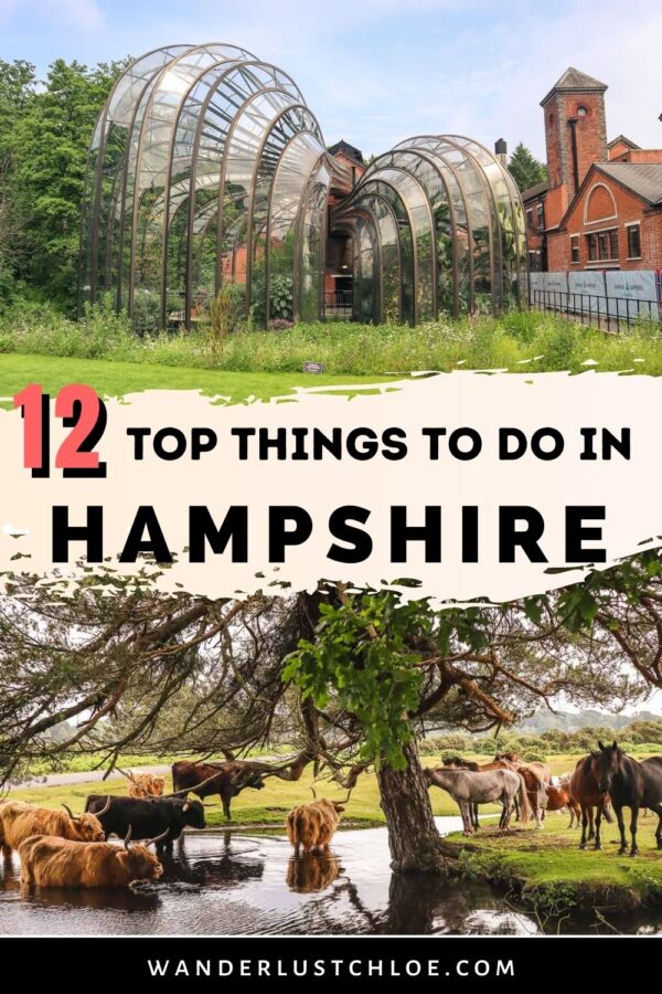 12-amazing-things-to-do-in-hampshire-2023-guide