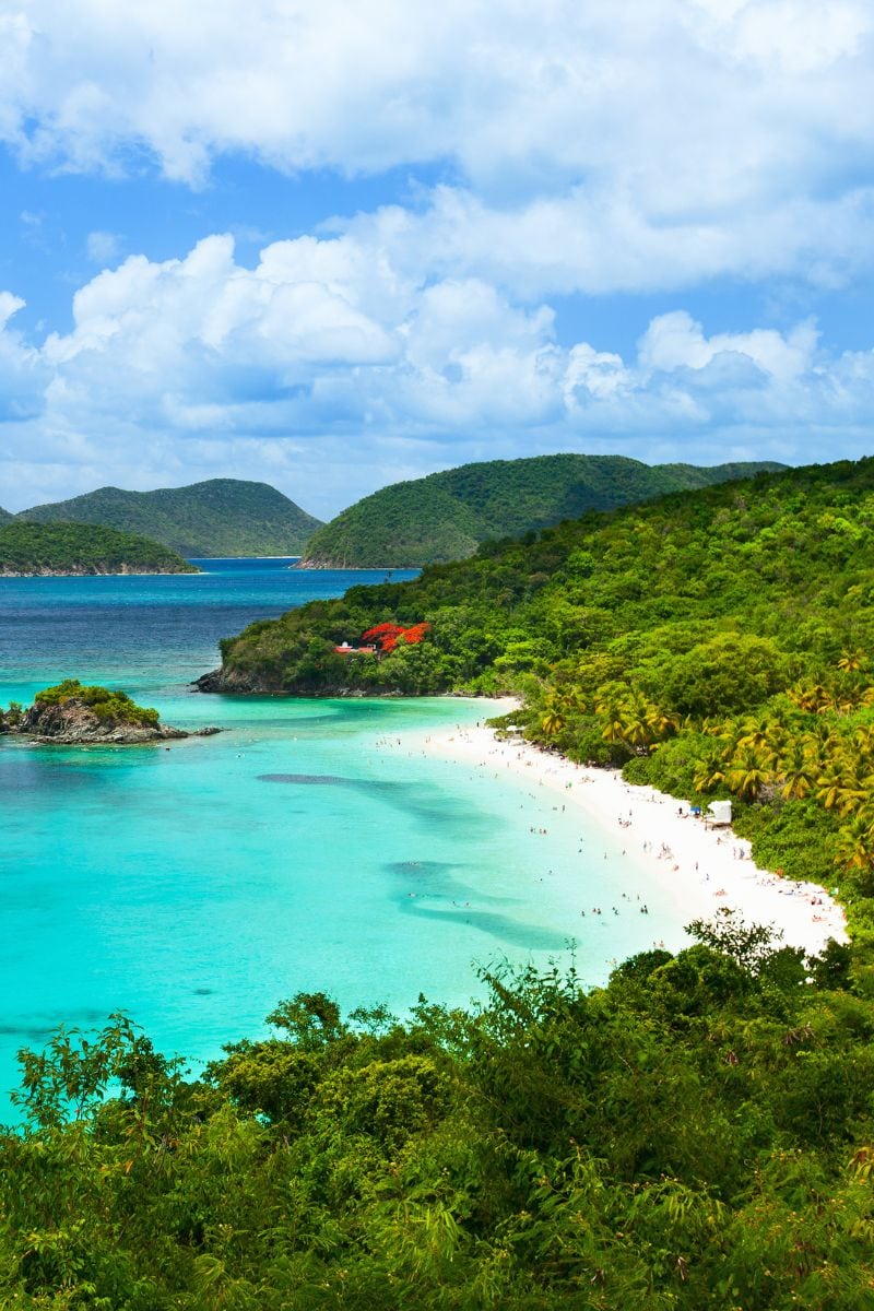 US Virgin Islands VS British Virgin Islands: Which Is Better For 2024?