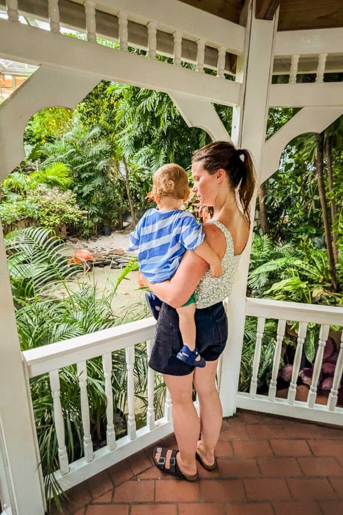 Key West Butterfly Conservatory is great for families visiting Key West