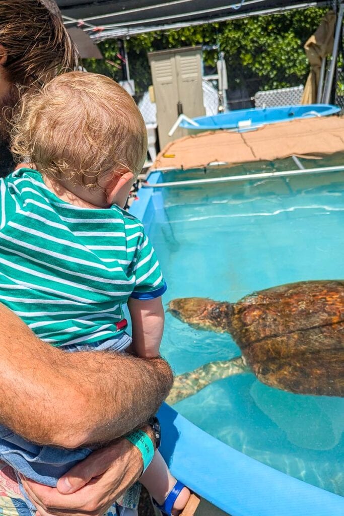 tour of Turtle Hospital Marathon