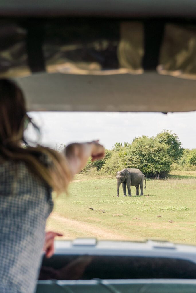 elephant safari honeymoon sri lanka