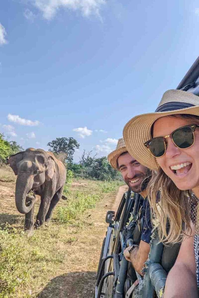 elephant safari in udawalawe national park