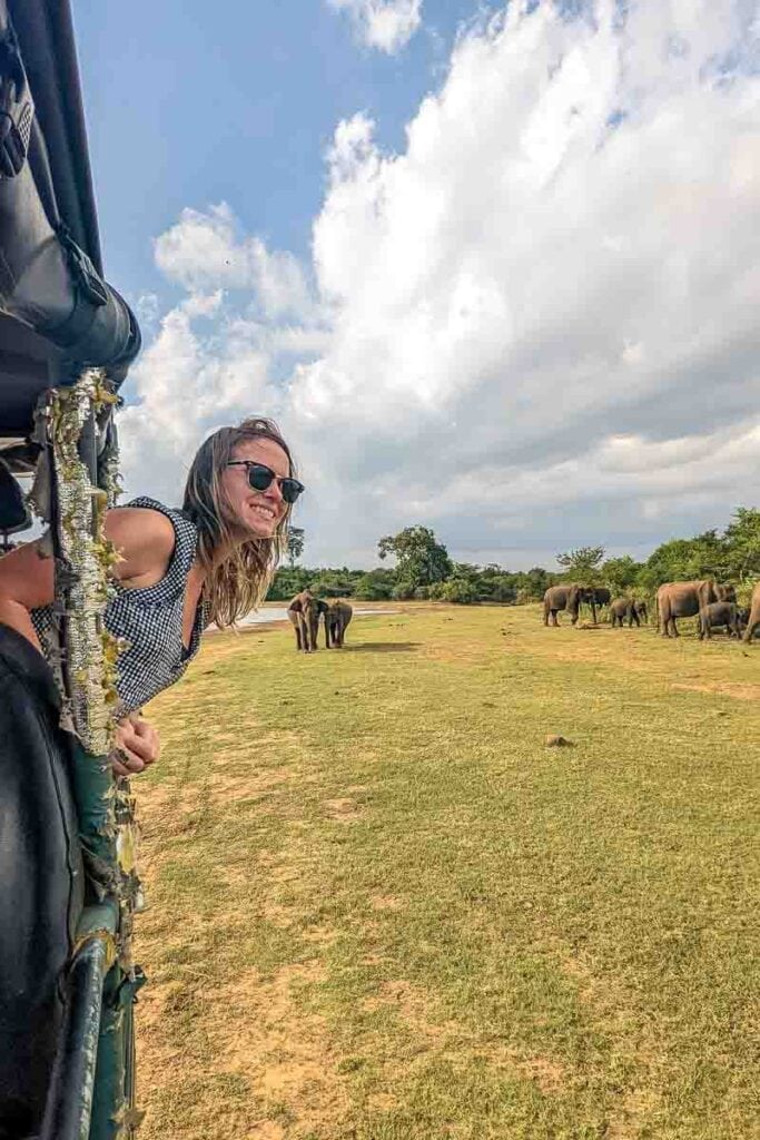 seeing the elephants in udawalawe national park